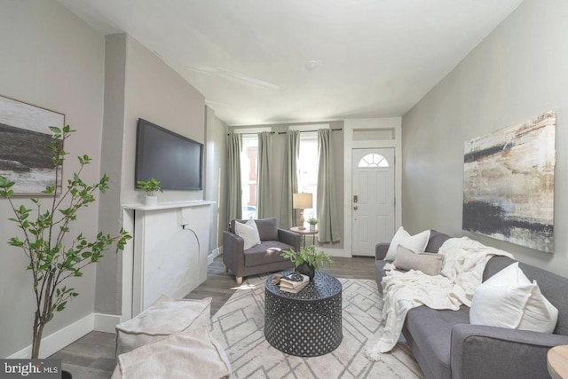 living room featuring hardwood / wood-style flooring