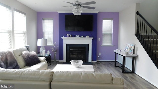 living room with ceiling fan and hardwood / wood-style floors