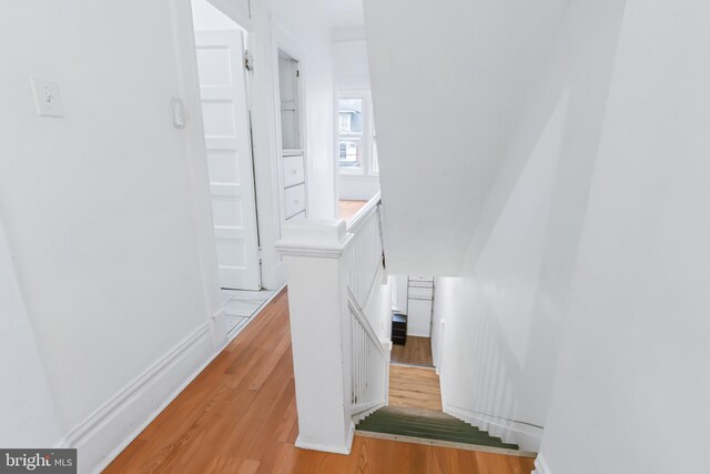 stairway featuring wood-type flooring