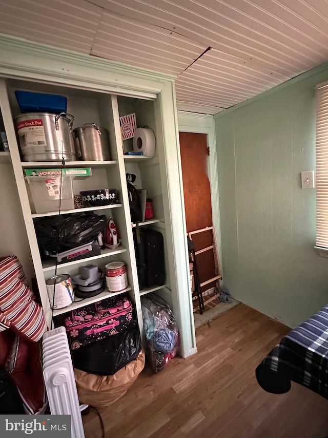 closet with radiator heating unit