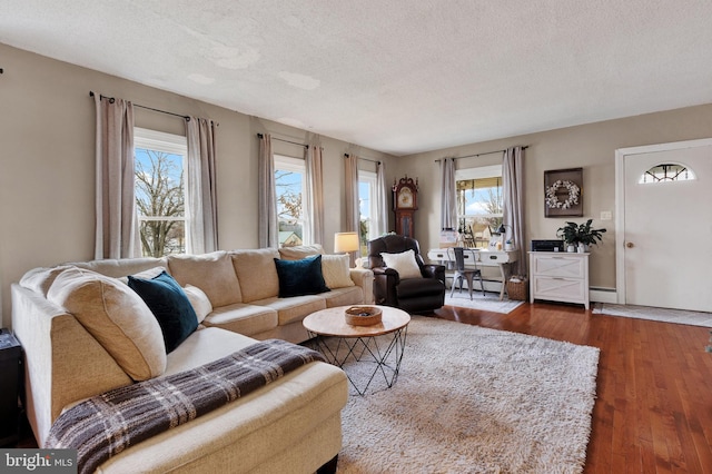 living room featuring hardwood / wood-style flooring, a healthy amount of sunlight, and a textured ceiling