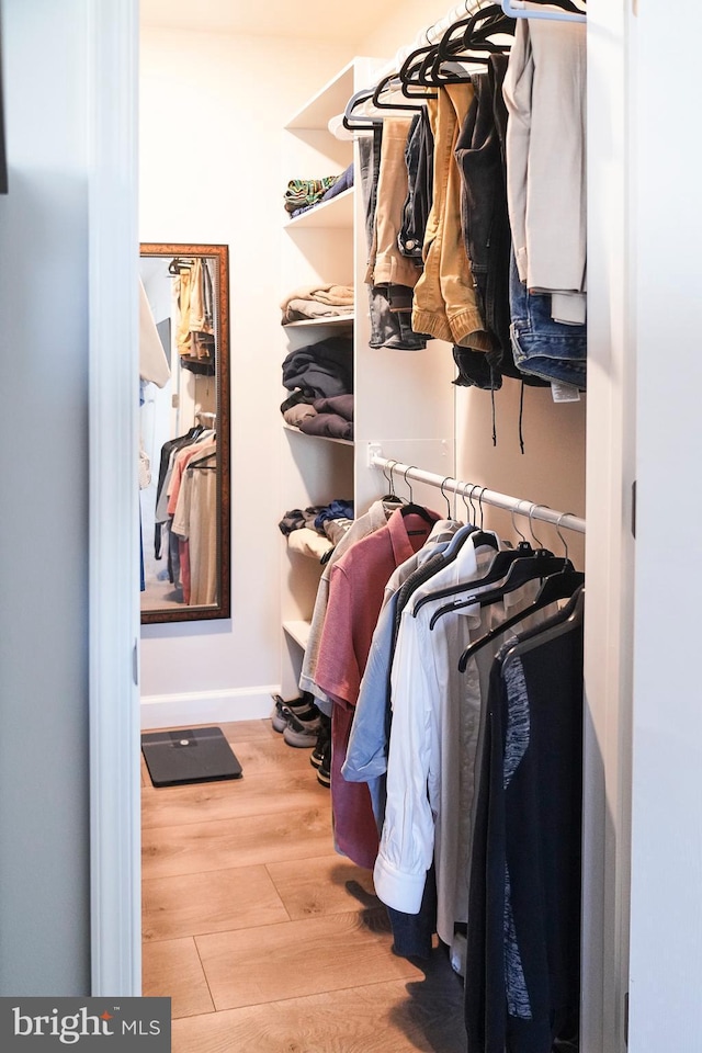 spacious closet featuring light wood-type flooring