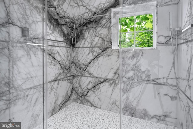 87 Library Pl, Princeton, NJ 08540 - bathroom view of a marble finish shower