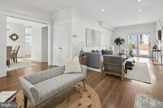 living room with wood-type flooring