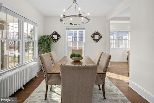 dining room featuring radiator, a notable chandelier, dark hardwood / wood-style floors, and a healthy amount of sunlight