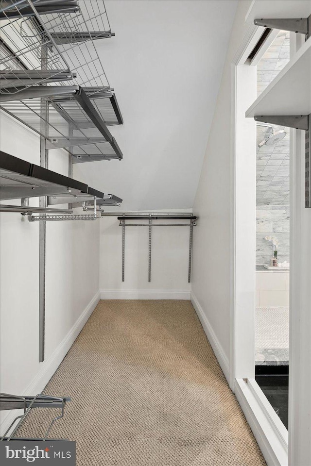 walk in closet featuring light colored carpet