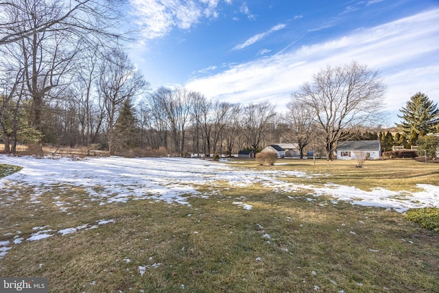 view of yard covered in snow