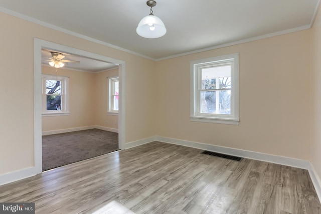 spare room with ornamental molding, ceiling fan, and light wood-type flooring