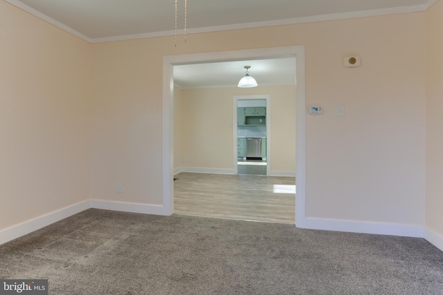 empty room with crown molding and carpet