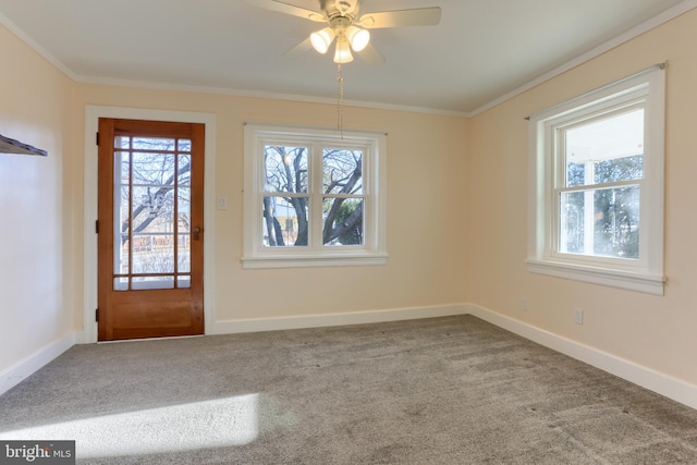 interior space featuring ornamental molding, a healthy amount of sunlight, and carpet flooring