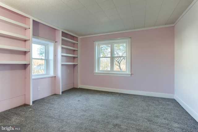 unfurnished bedroom featuring crown molding and carpet