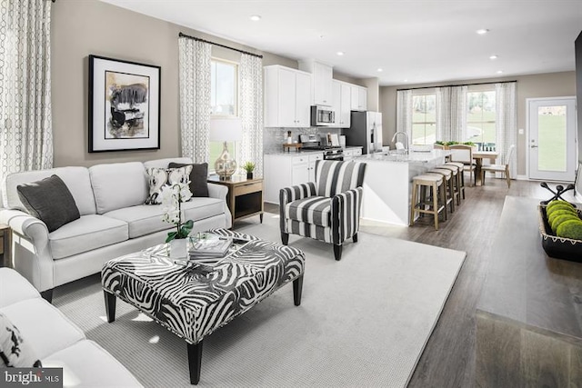 living room with dark hardwood / wood-style floors