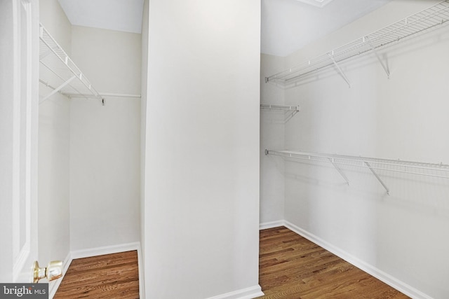 spacious closet featuring hardwood / wood-style floors