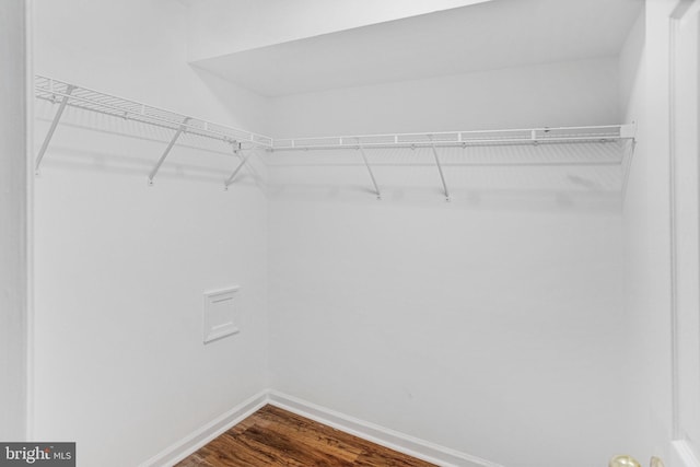 walk in closet featuring hardwood / wood-style flooring