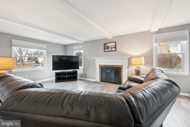 living room featuring beamed ceiling, a healthy amount of sunlight, and light hardwood / wood-style flooring