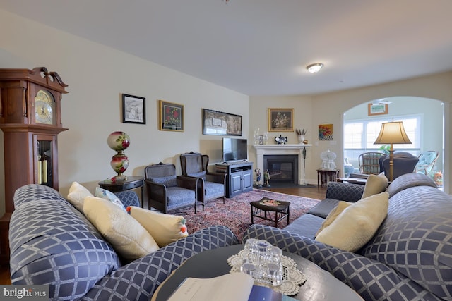 living room with hardwood / wood-style flooring