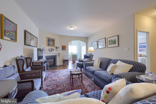 living room featuring dark wood-type flooring