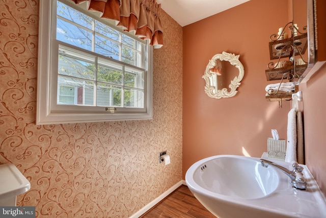 bathroom with hardwood / wood-style floors and sink