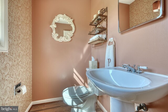 bathroom with sink, hardwood / wood-style flooring, and toilet