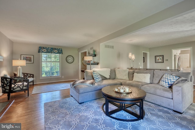 living room featuring wood-type flooring