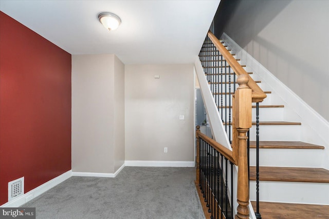 stairway featuring carpet flooring