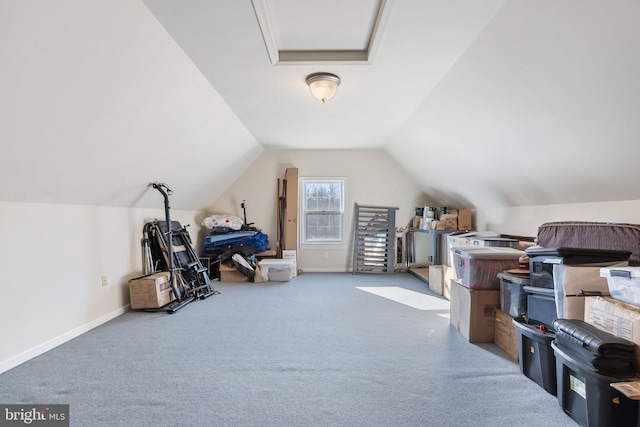 bonus room featuring carpet floors and vaulted ceiling