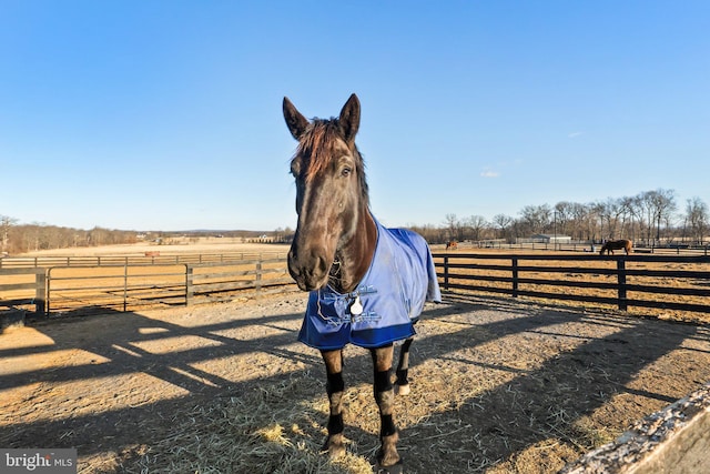 view of horse barn featuring a rural view