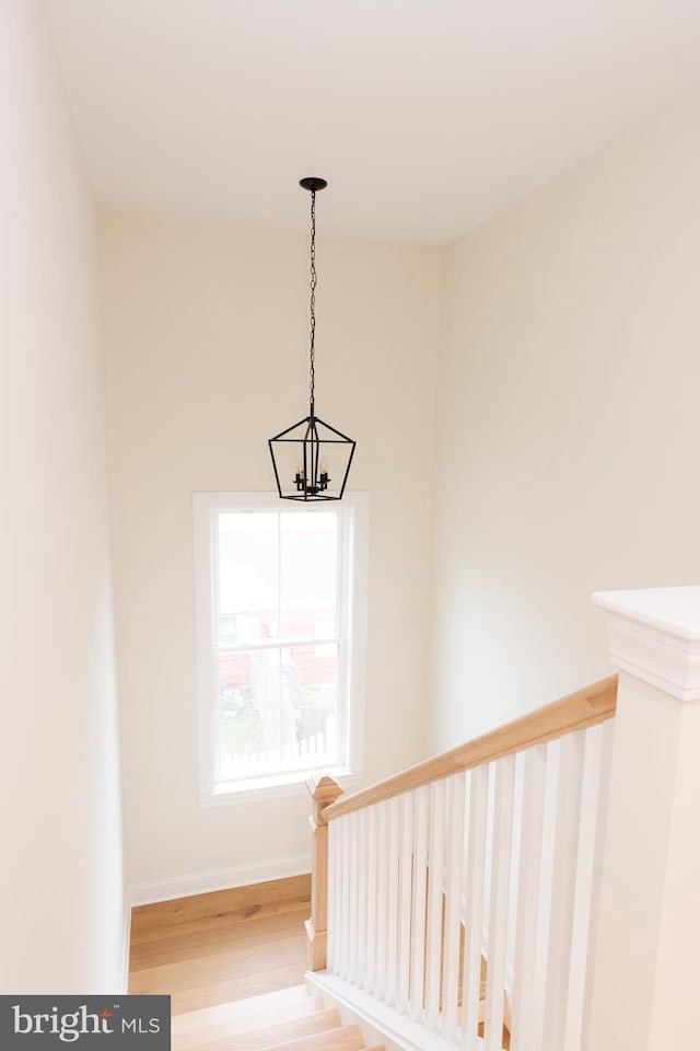 stairway with hardwood / wood-style floors and a chandelier