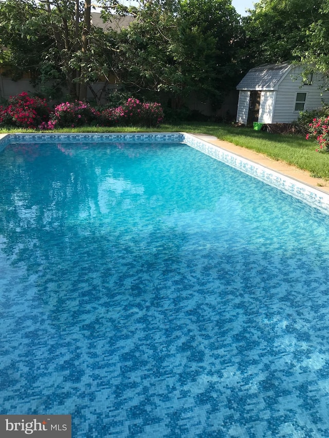 view of pool with a storage shed