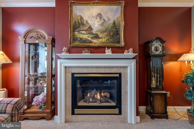 details featuring crown molding, a fireplace, and carpet flooring