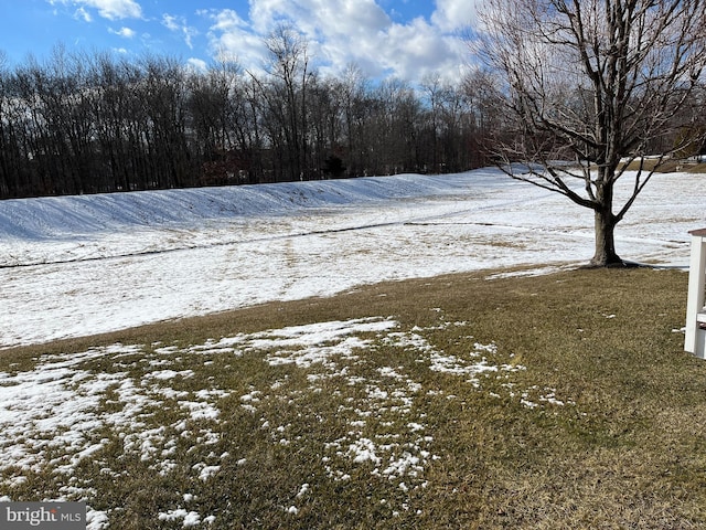 view of yard layered in snow