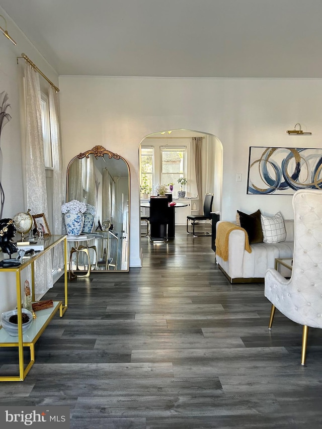 sitting room with dark wood-type flooring and plenty of natural light