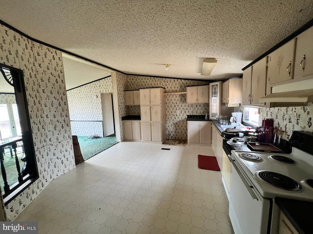 kitchen featuring ornamental molding, white electric stove, and a textured ceiling