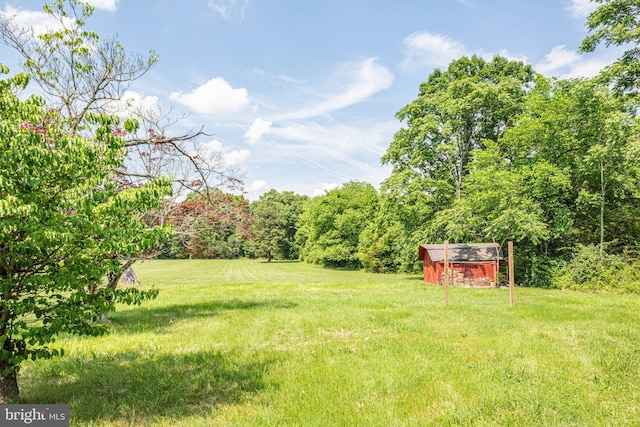 view of yard featuring a shed