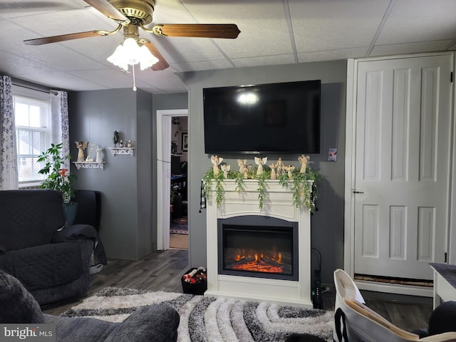 living room with hardwood / wood-style flooring, a drop ceiling, and ceiling fan