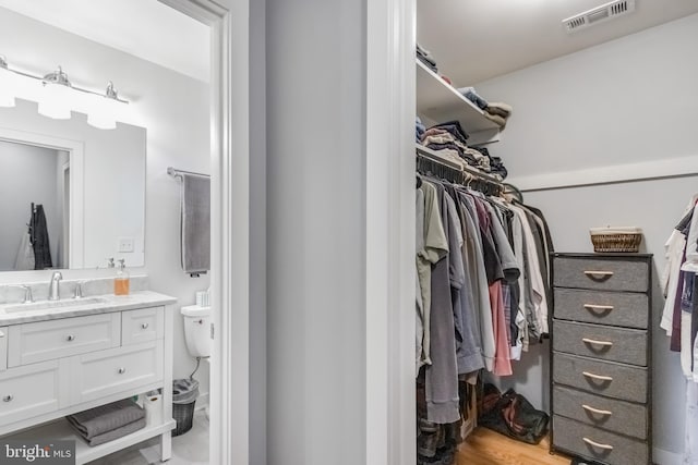 spacious closet with sink and light hardwood / wood-style floors