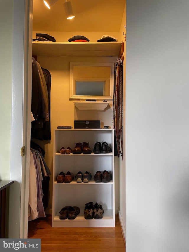 walk in closet featuring hardwood / wood-style flooring