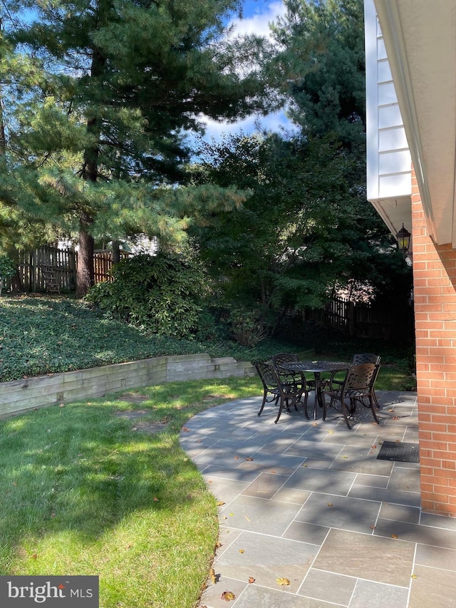 view of yard with a patio