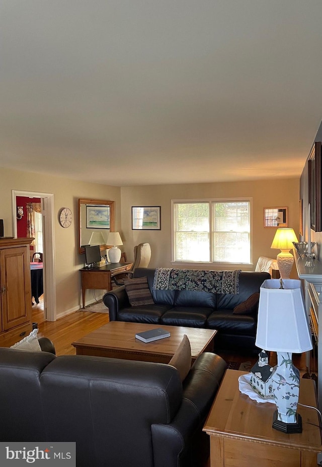 living room with wood-type flooring