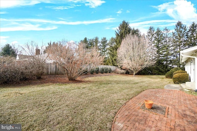 view of yard with a patio area and a fenced backyard