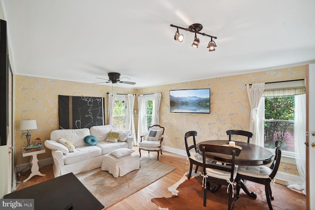 living room with hardwood / wood-style flooring, plenty of natural light, and ceiling fan