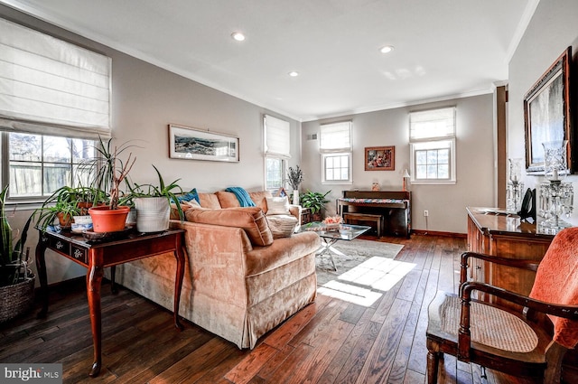 living room with ornamental molding and dark hardwood / wood-style flooring