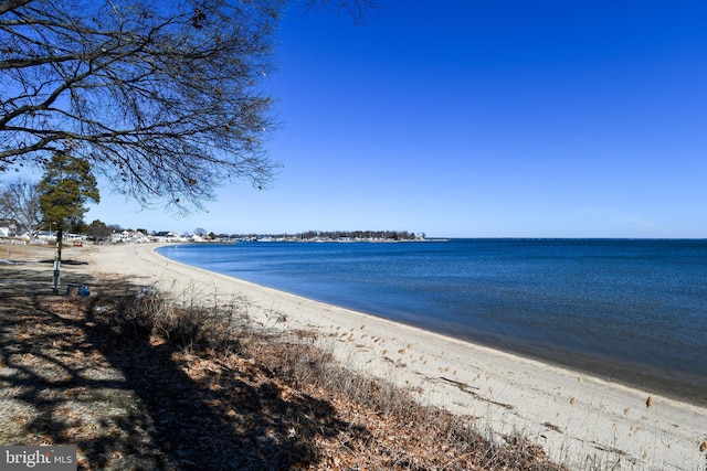 view of water feature featuring a beach view