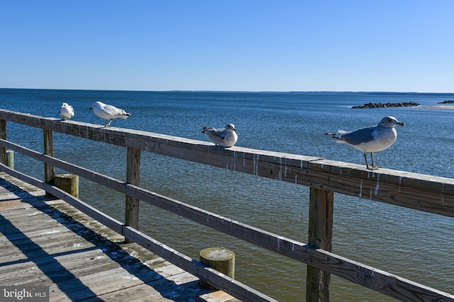 dock area with a water view