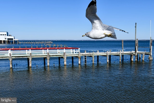 view of dock featuring a water view