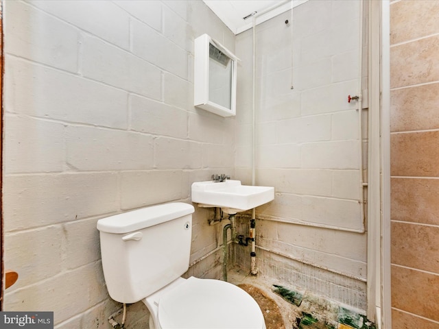 bathroom featuring toilet