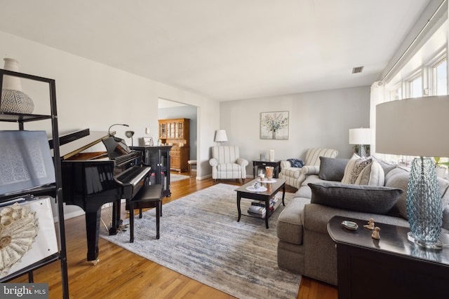 living room featuring wood-type flooring