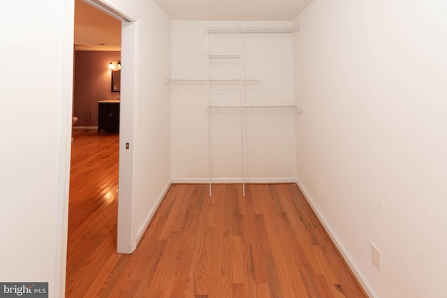 walk in closet with light wood-type flooring