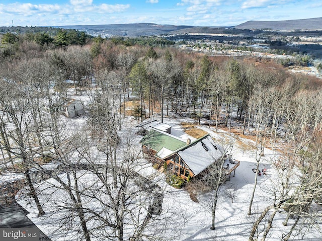 snowy aerial view featuring a mountain view