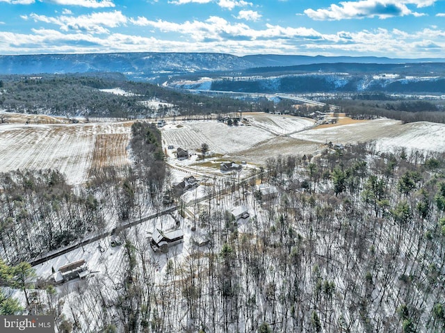 snowy aerial view featuring a mountain view